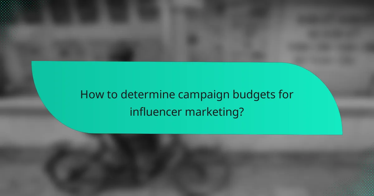 How to determine campaign budgets for influencer marketing?